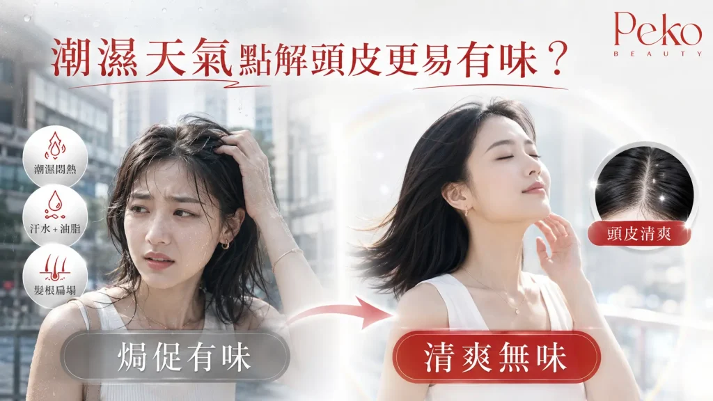 頭皮有味原因 Peko Beauty 頭皮護理指南