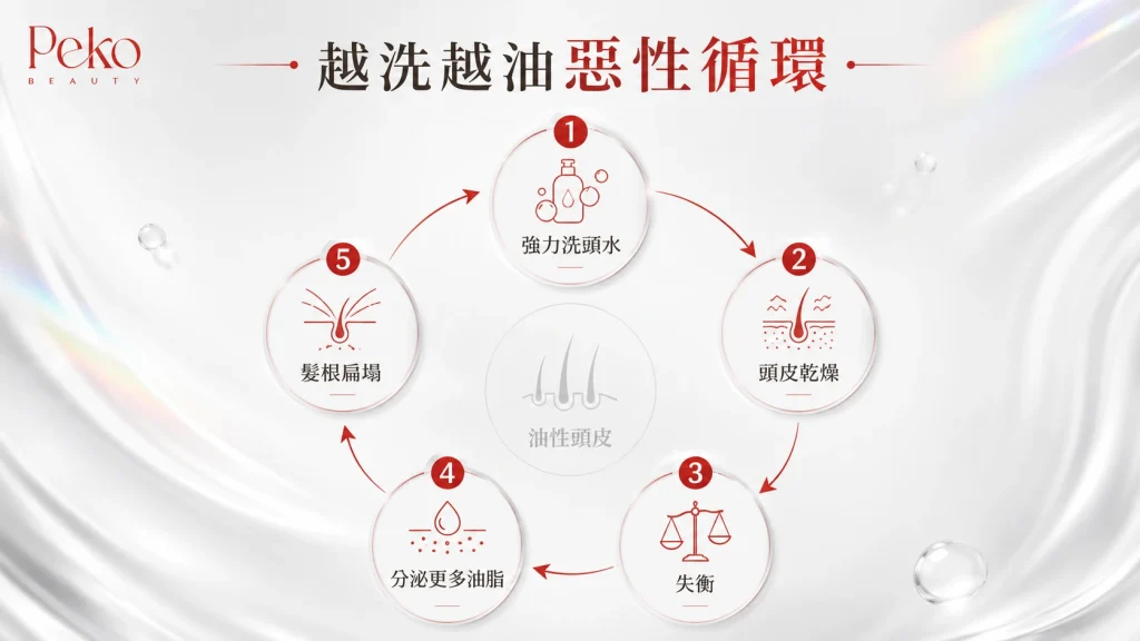 頭油多越洗越油原因 Peko Beauty 頭皮護理指南